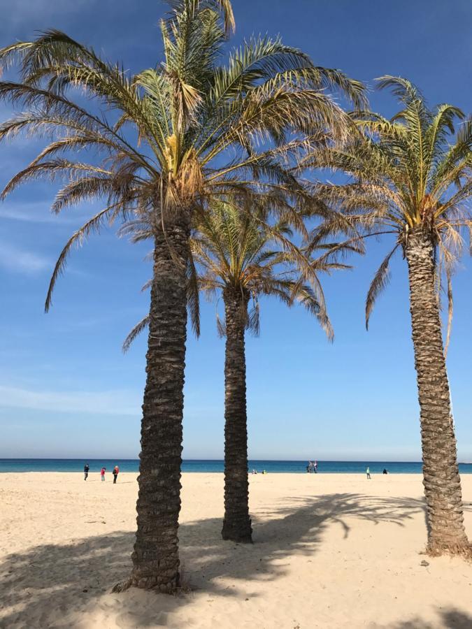La Terrazza Nel Blu Daire San Vito Lo Capo Dış mekan fotoğraf